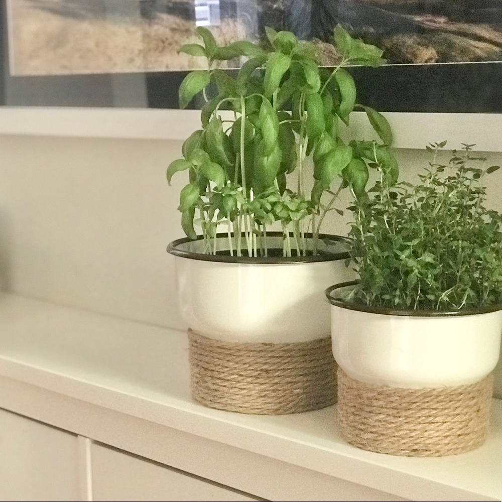 Flower Pot